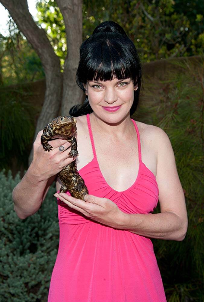 51 Pauley Perrette Nude Pictures Which Demonstrate Excellence Beyond Indistinguishable The Viraler