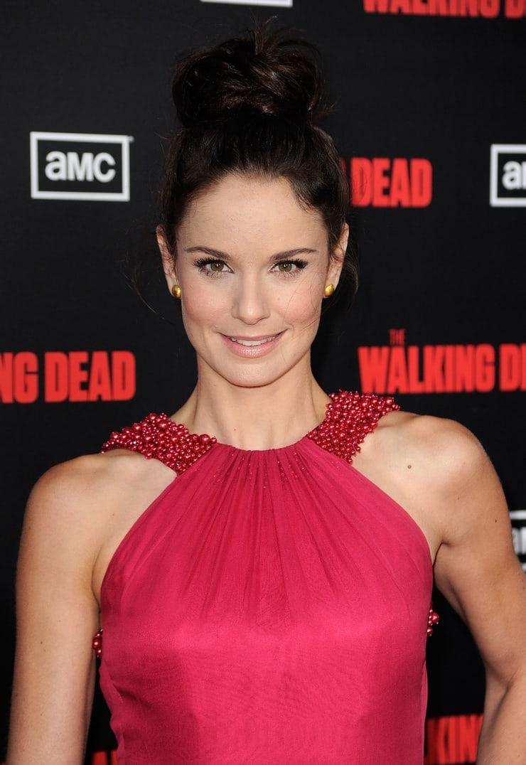 51 Sexy Sarah Wayne Callies Boobs Pictures Are Essentially Attractive | Best Of Comic Books
