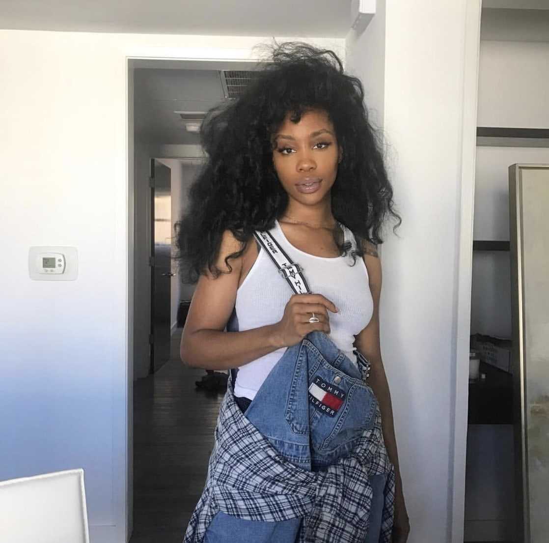 51 Sexy SZA Boobs Pictures Which Make Certain To Leave You Entranced | Best Of Comic Books