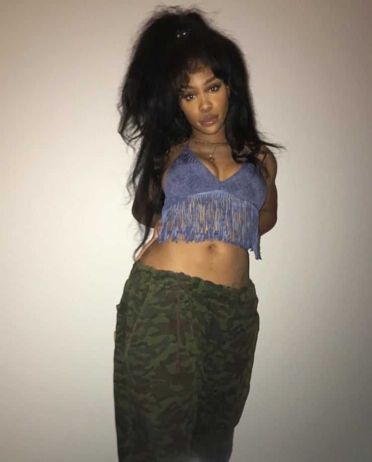 51 Sexy SZA Boobs Pictures Which Make Certain To Leave You Entranced | Best Of Comic Books