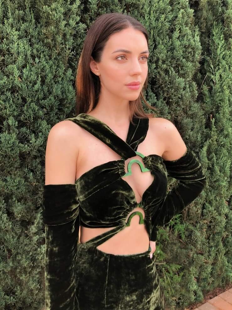 55+ Hot Pictures Of Adelaide Kane Will Win Your Hearts | Best Of Comic Books
