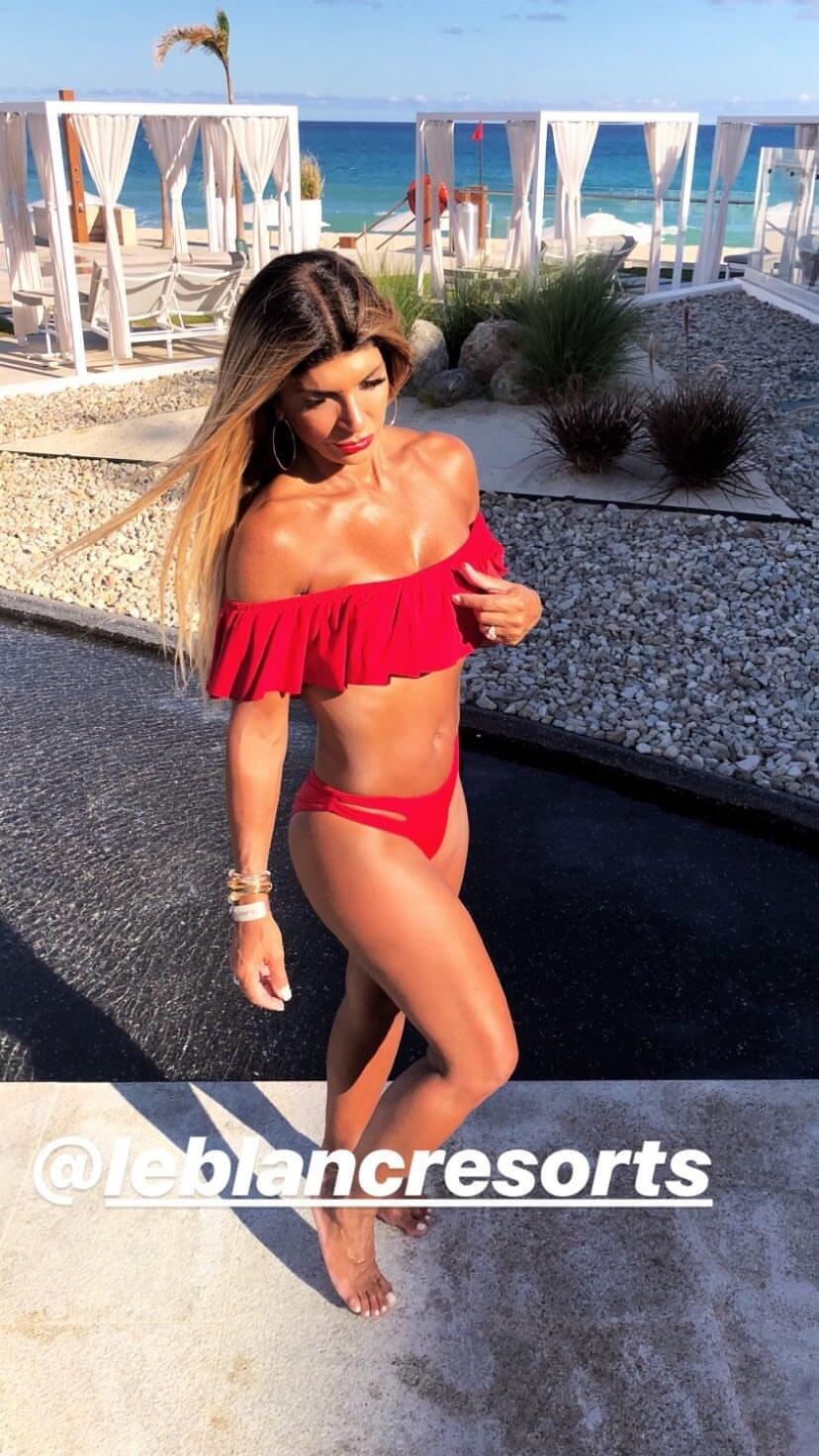 55+ Hot Pictures Of Teresa Giudice Which Expose Her Sexy Body | Best Of Comic Books