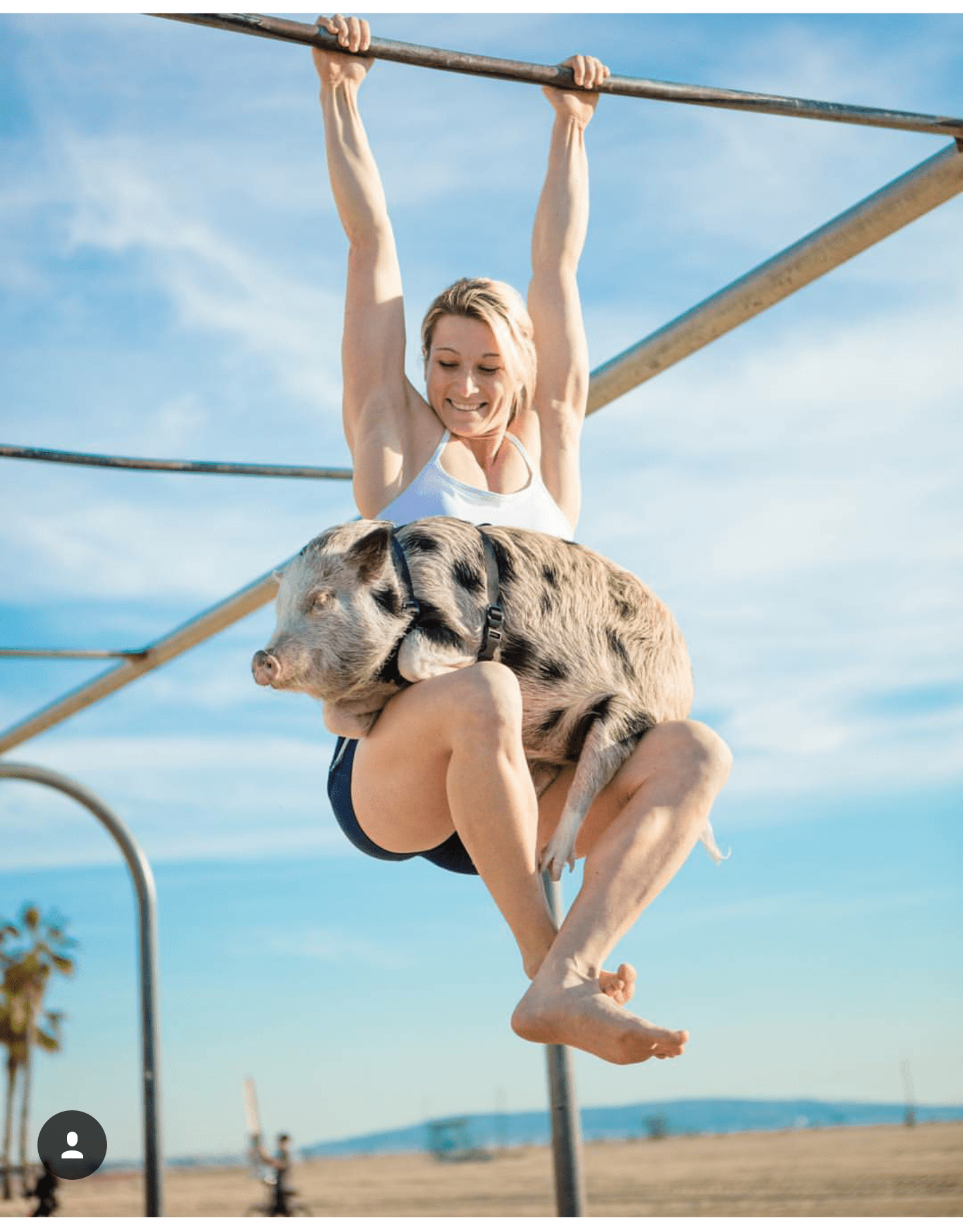 60+ Hot Pictures Of Jessie Graff | Best Of Comic Books