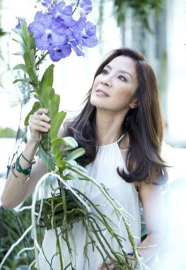 60+ Hot Pictures Of Michelle Yeoh Are Just Too Damn Sexy | Best Of Comic Books