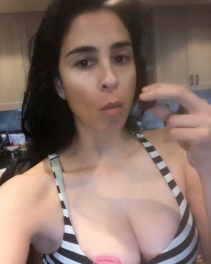 60+ Hot Pictures Of Sarah Silverman That Are Simply Gorgeous | Best Of Comic Books