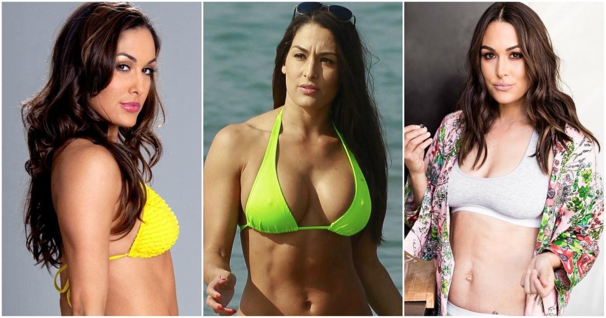 60+ Sexy Brie Bella Boobs Pictures Which Are Sure to Catch Your Attention B...