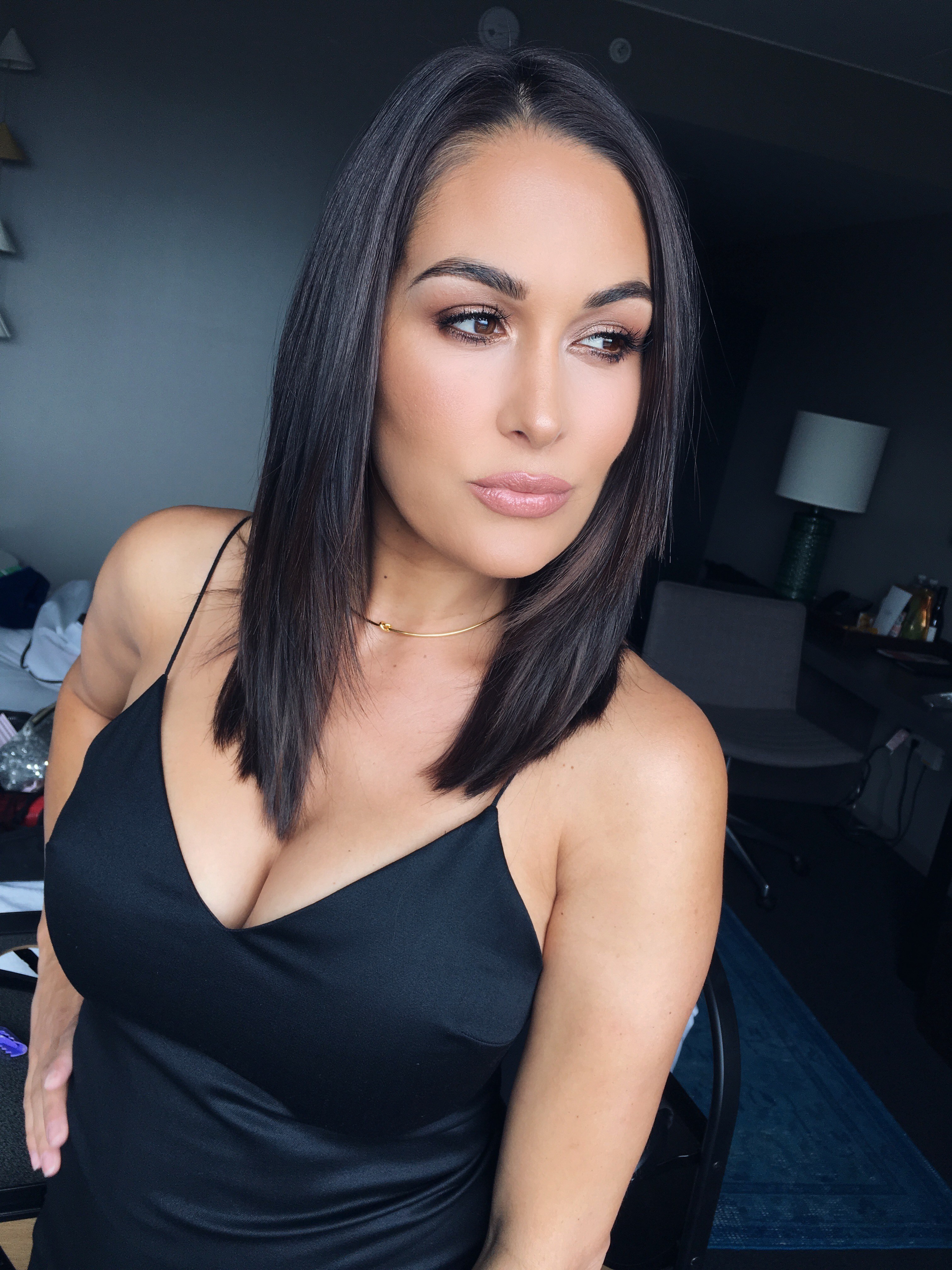 60+ Sexy Brie Bella Boobs Pictures Which Are Sure to Catch Your Attention | Best Of Comic Books