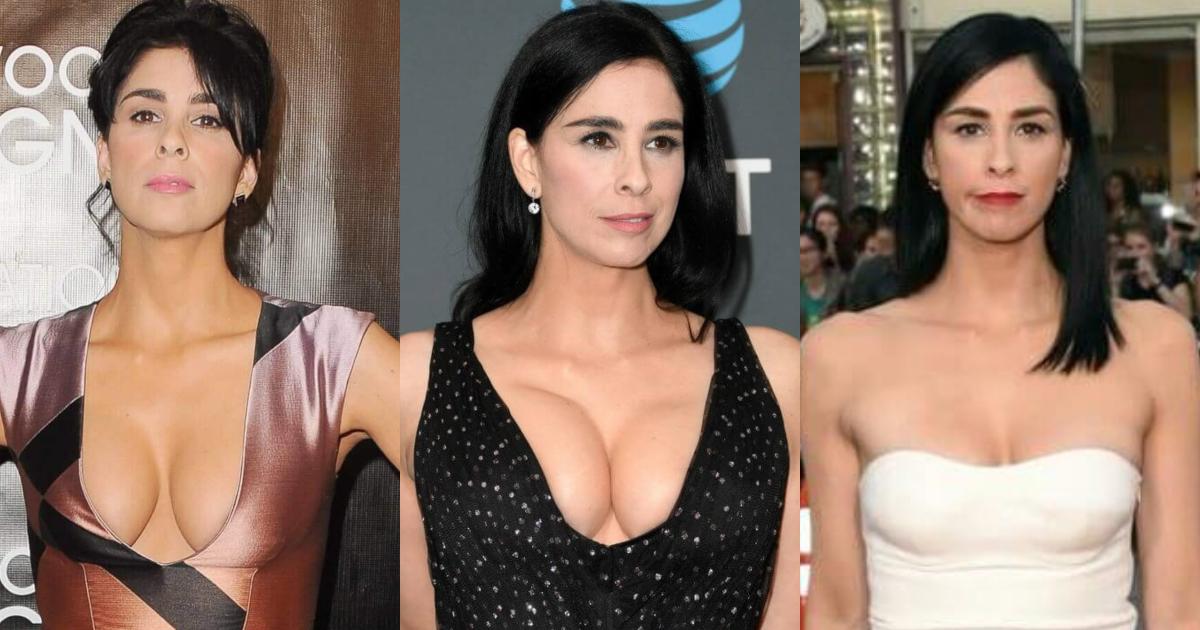 60+ Sexy Sarah Silverman Boobs Pictures Which Are Simply Astounding | Best Of Comic Books