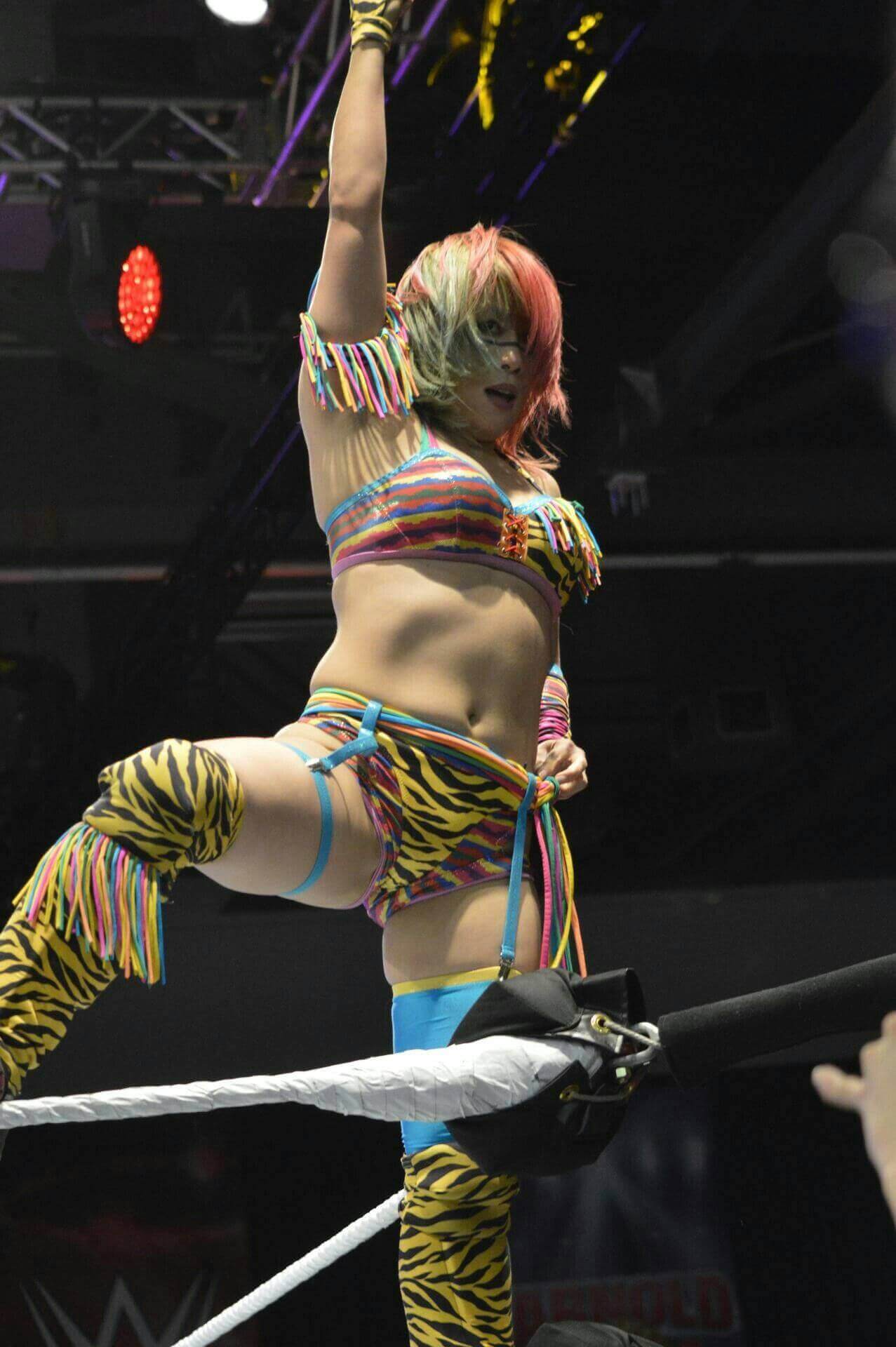 61 Hottest Asuka Big Butt Pictures Will Drive You Nuts For This Sexy WWE Diva | Best Of Comic Books