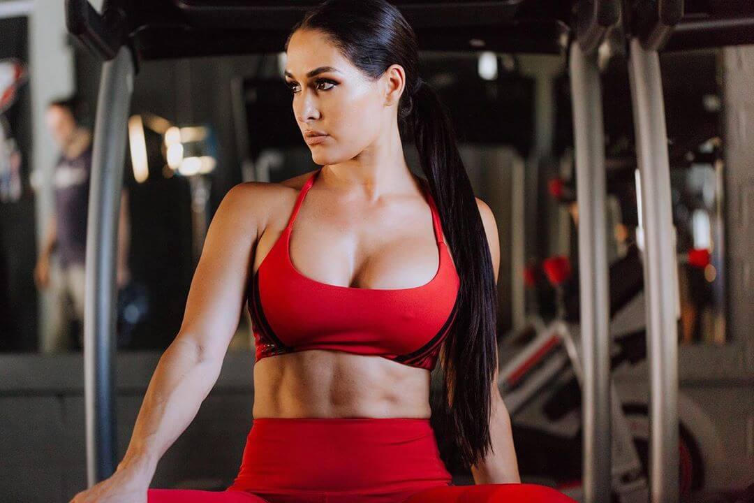 61 Hottest Nikki Bella Big Butt Pictures Of WWE Diva Will Melt You | Best Of Comic Books