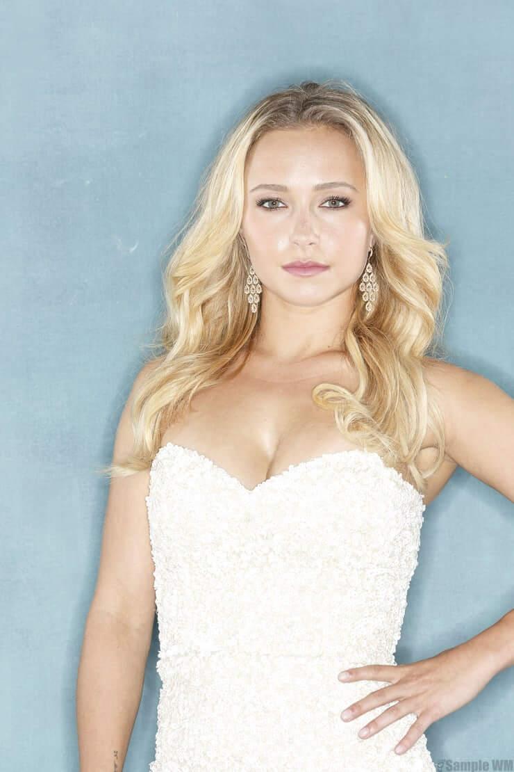 61 Sexy Hayden Panettiere Boobs Pictures That Will Make Your Day A Win | Best Of Comic Books