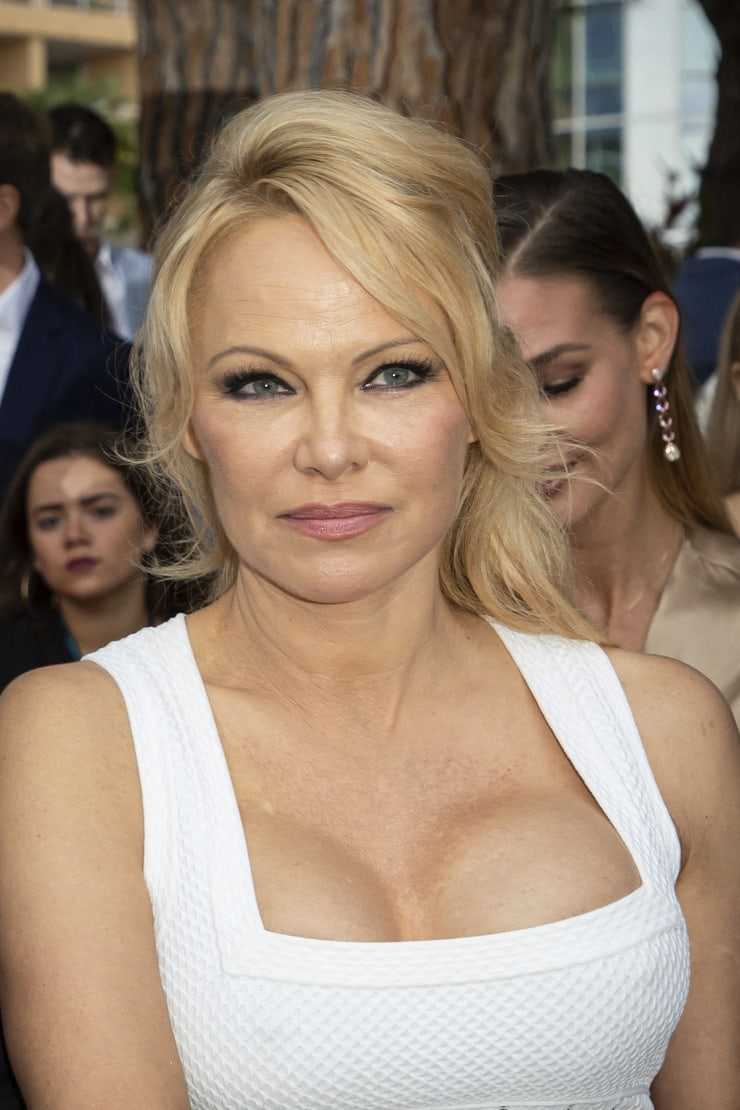 61 Sexy Pamela Anderson Boobs Pictures Which Will Get You All Sweating | Best Of Comic Books