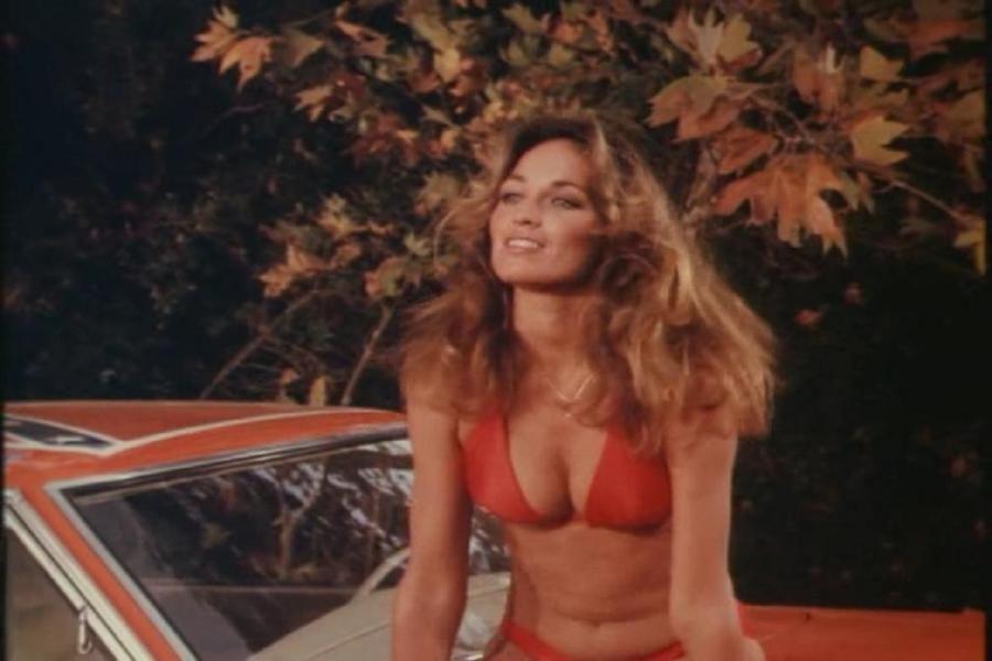 65+ Hot Pictures Of Catherine Bach Which Will Raise The Heat | Best Of Comic Books