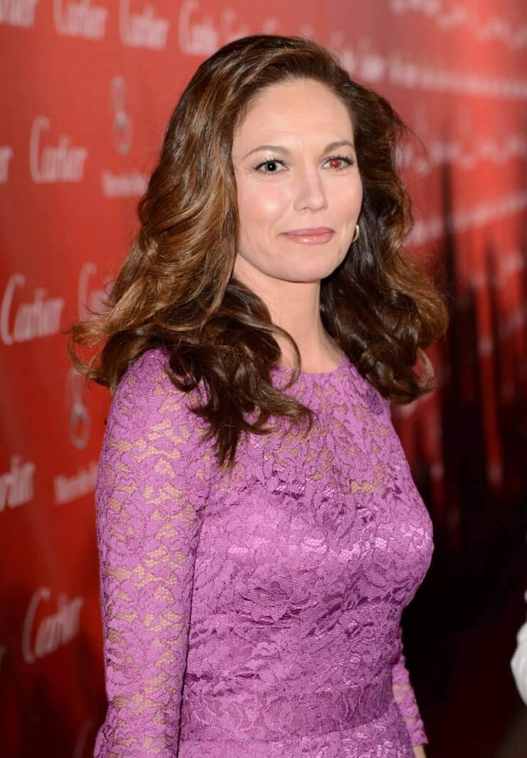 65+ Hot Pictures Of Diane Lane Which Are Too Hot To Handle | Best Of Comic Books
