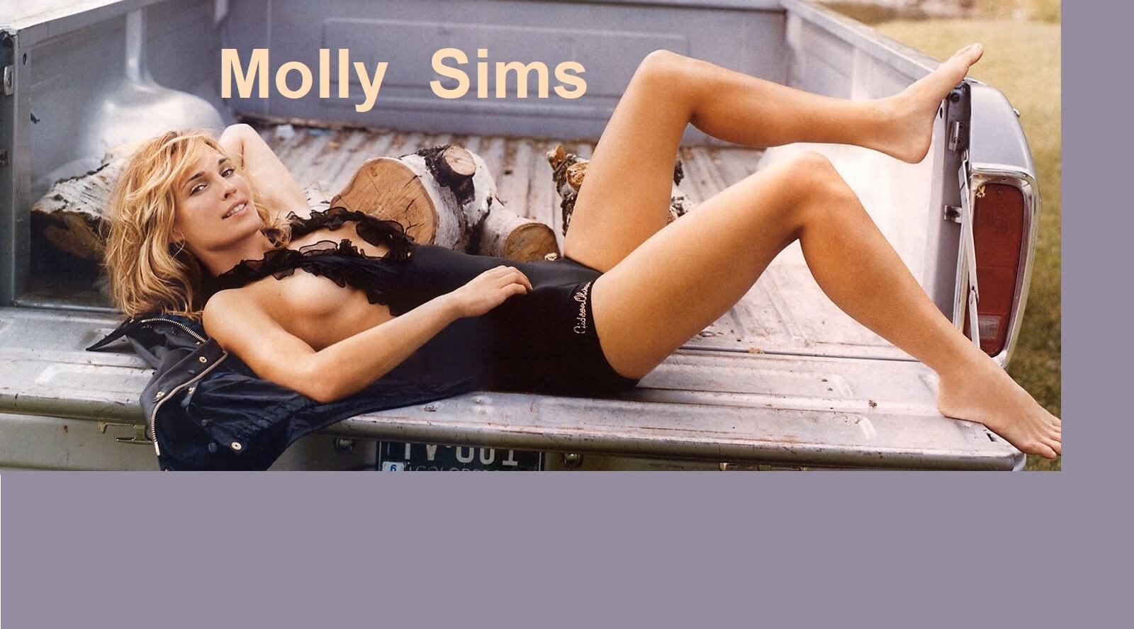 65+ Hot Pictures Of Molly Sims Will Prove That She Is One Of The Sexiest Women Alive | Best Of Comic Books