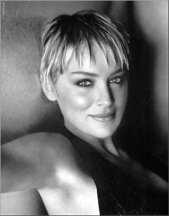65+ Hot Pictures Of Sharon Stone Will Bring Out The Basic Instinct Inside You | Best Of Comic Books