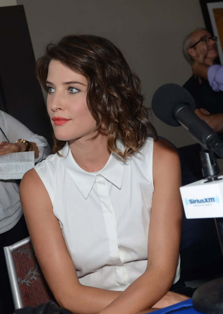 70+ Hot Pictures Of Cobie Smulders – Maria Hill Actress In Marvel Movies | Best Of Comic Books