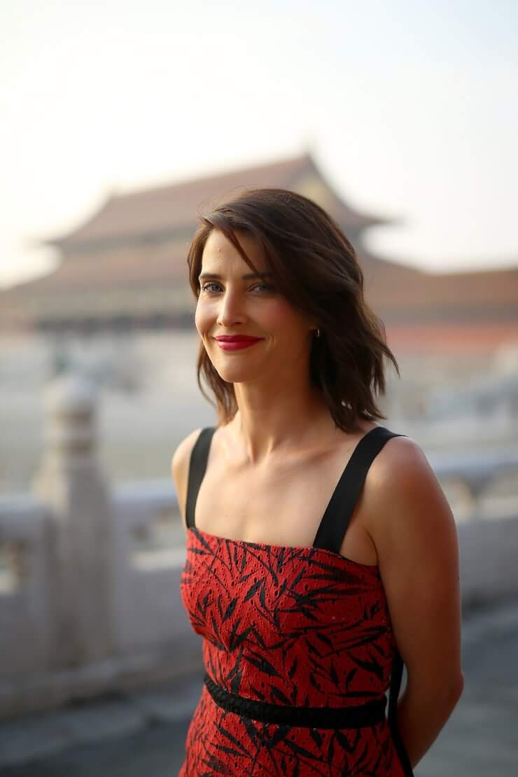 70+ Hot Pictures Of Cobie Smulders – Maria Hill Actress In Marvel Movies | Best Of Comic Books