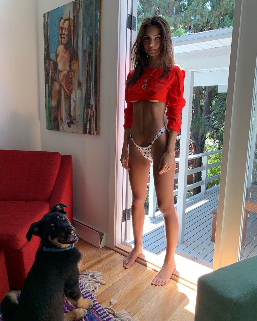 71 Hot Pictures Of Emily Ratajkowski Explore Her Extremely Sexy Body | Best Of Comic Books