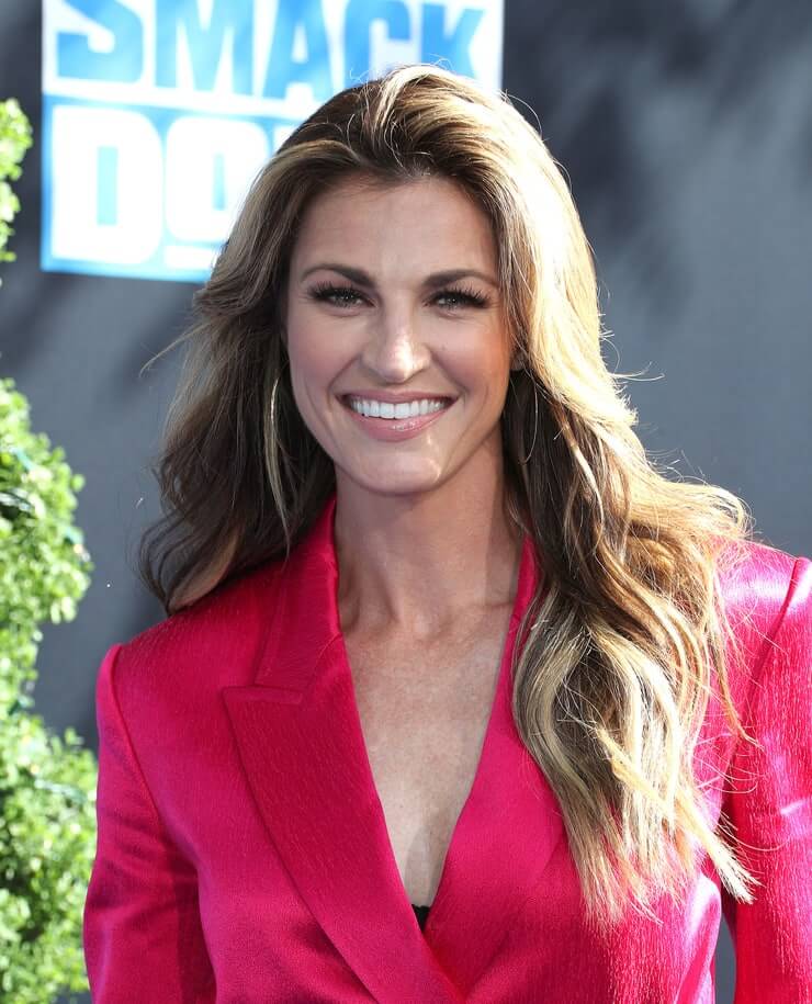 75+ Hot And Sexy Pictures Of Erin Andrews Are Too Damn Delicious | Best Of Comic Books