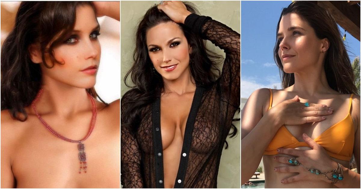 75+ Hot And Sexy Pictures Of Sophia Bush Will Make You Fall In Love With Her | Best Of Comic Books