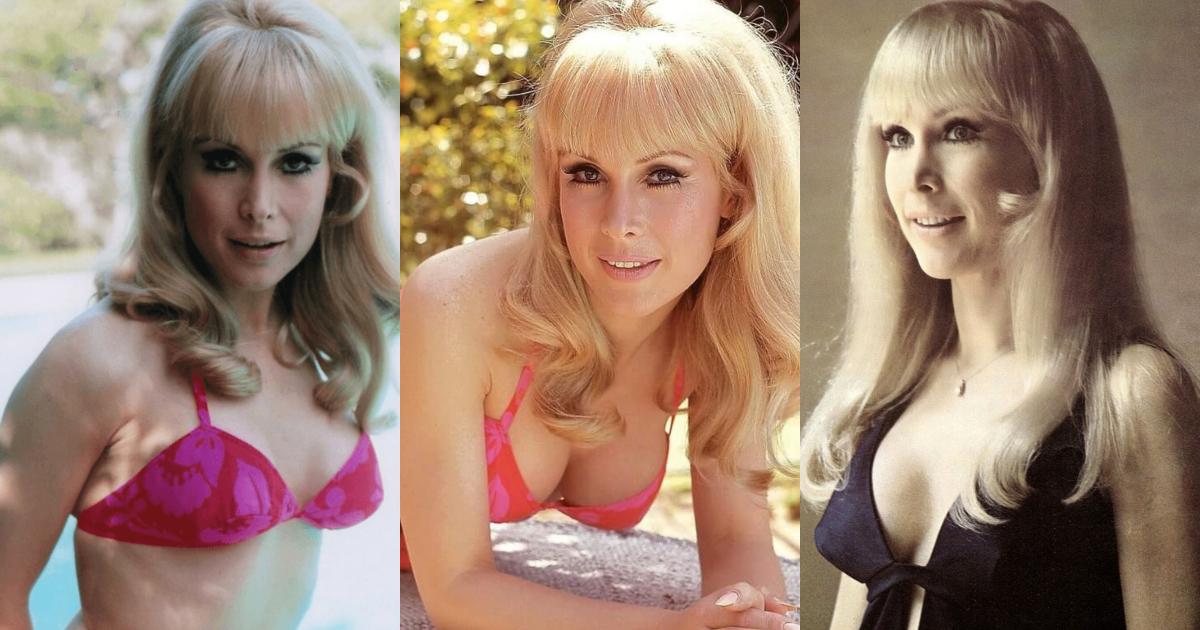 75+ Hot Pictures Of Barbara Eden From I Dream of Jeannie Are Just Too Yum For Her Fans