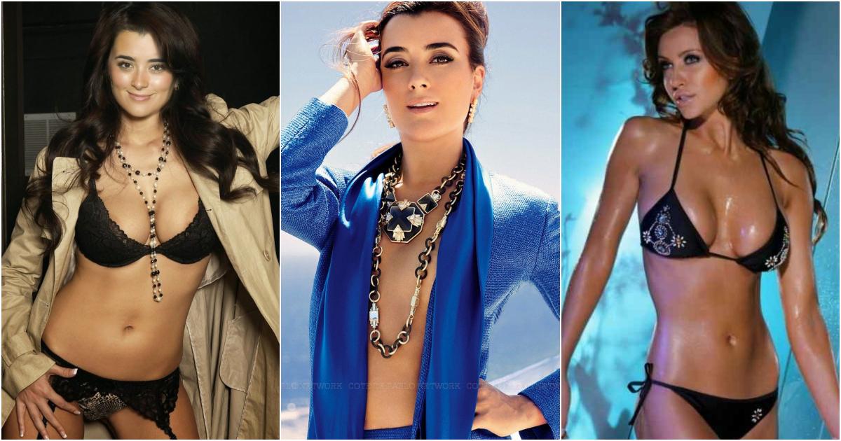 75+ Hot Pictures of Cote De Pablo From NCIS Will Raise Your Spirits