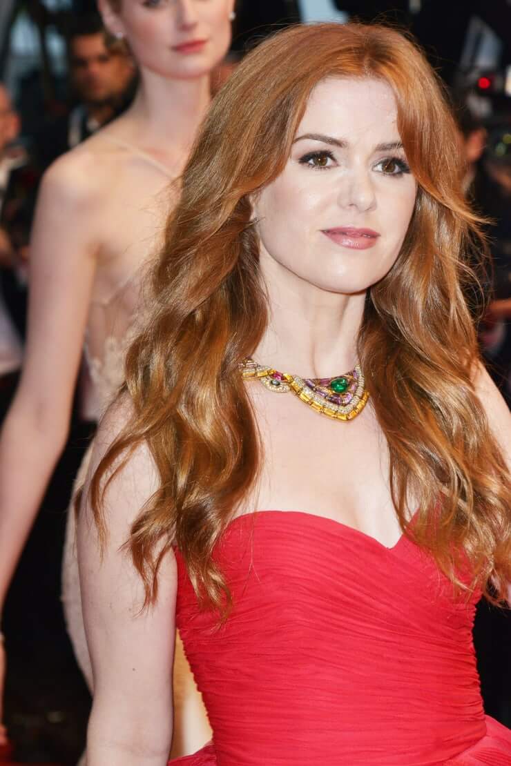 75+ Hot Pictures Of Isla Fisher Are Just Way Too Hot To Handle | Best Of Comic Books