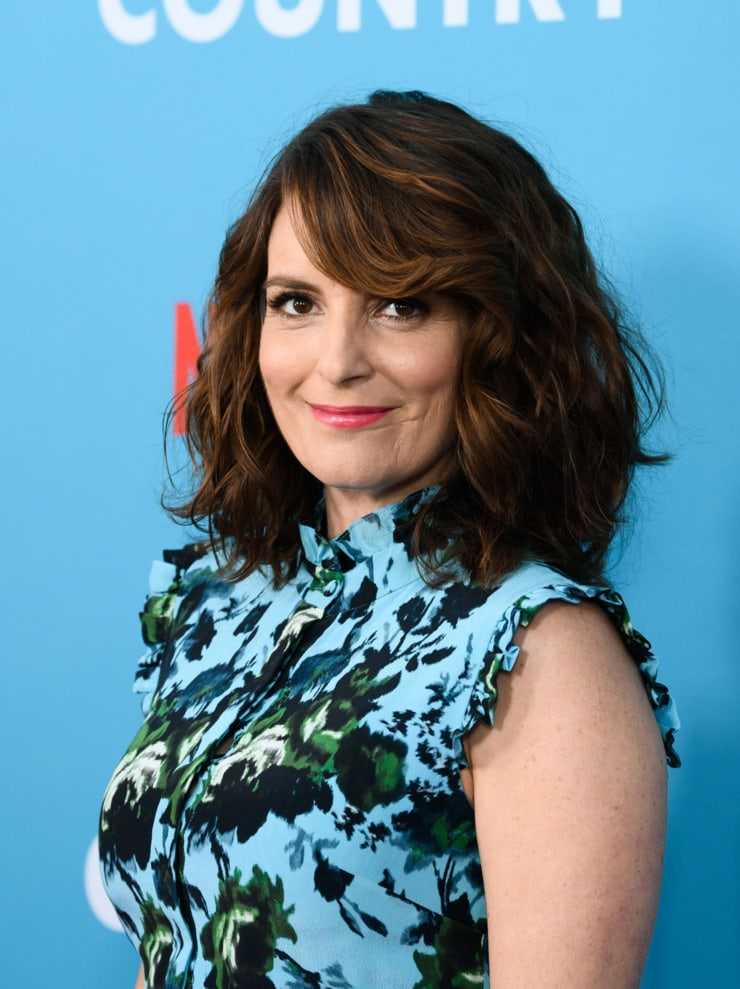 75+ Hot Pictures Of Tina Fey That Are Sure To Make You Her Biggest Fan | Best Of Comic Books
