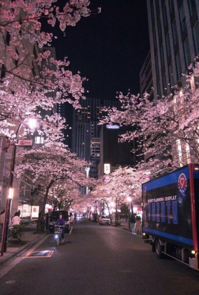 Japan at night