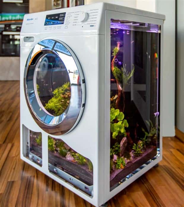 Awesome Aquariums Built to Impress